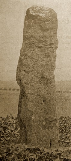 Menhir u Klobuk (zpadn strana),(echy pedhistorick. Dr. J.P, 1899, str.67