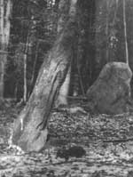 Chlístov - původní kamenná stéla.