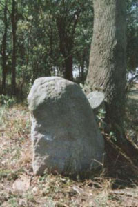 Kámen v Orasicích.