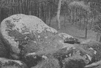 Balvan porfyrovitho syenitu v Krkov lese u Trnavy-Tebe s jamkou, v n pr cikni plili kolomaz. Dodnes jim lid k kolomaznice