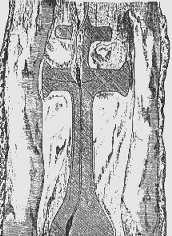 Dvojit k v teovm dev, nalezen r. 1745 v Kutn Hoe.