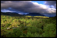 Landscape of Glen Affric