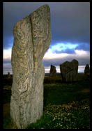 Standing stones in Calanais, Lewis