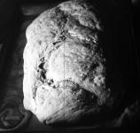 Chléb pevný upekla Arai