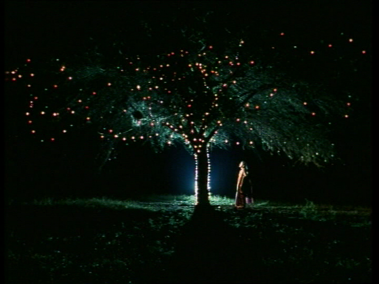 foto z filmu Kshya Tra Ghya - magický strom