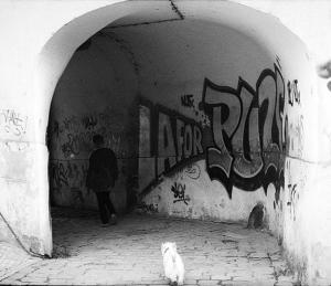 Graffiti v průchodu pod Petřínem (foto Kangaroo)